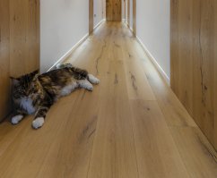 DORSIS skrytá podlahová lišta linus 15 pro LED - profil 2400 mm (skrytá soklová LED lišta)